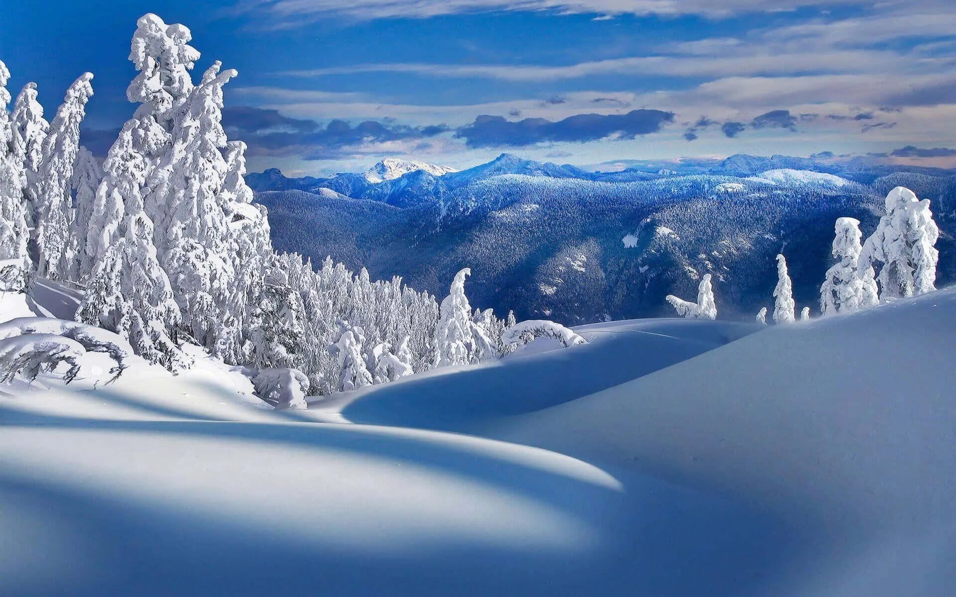 Snow is beautiful. Красивая зима. Зимний пейзаж. Зимняя природа. Зима снег.