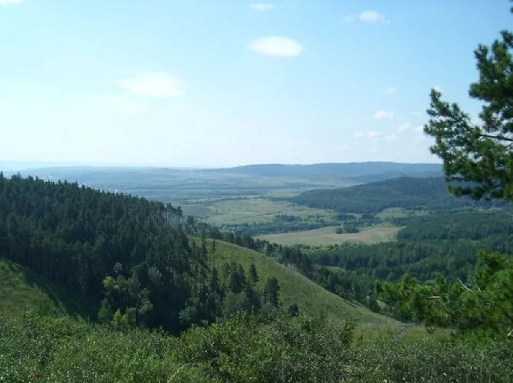 Хвалынский национальный парк природа. Национальныйпарк хвалынск. Хвалынский национальный парк природа. Заповедный парк хвалынский. Хвалынский национальный парк саратовская область.