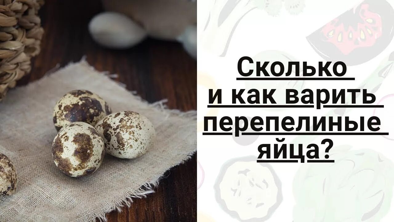 Сколько надо варить перепелиные. Сколько варить перепелиные яйца. Как и сколько варить перепелиные яйца. Варка перепелиных яиц. Колько минут варить перепелиные яйца.