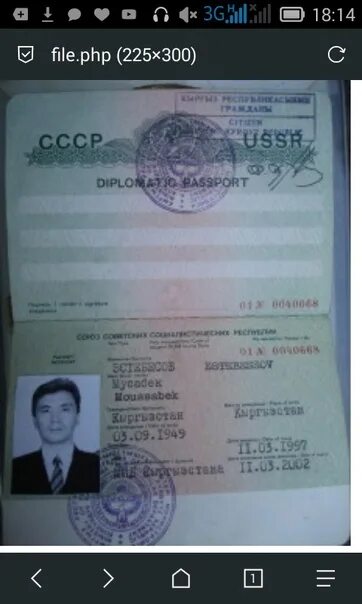 Как выглядит дипломатический паспорт россии Дипломатический паспорт как получить Что такое дипломатический паспорт