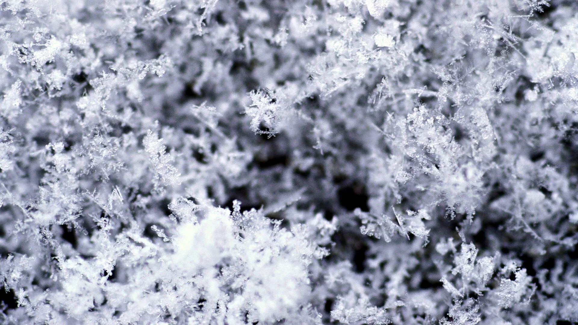 кристаллическая изморозь. морозные узоры. прозрачный иней. прозрачный иней. мороз на стекле.