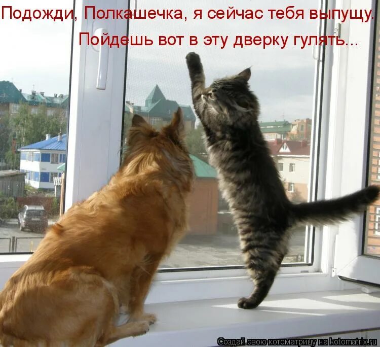Эй ты не поможешь мне дружочек. Эй ты да ты. Эй ты да ты по ту сторону. Меня твоя манера речи клоунская. Юмор про реалистов.