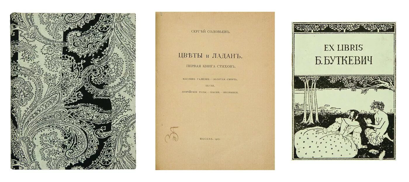 Первая книга стихов платонова