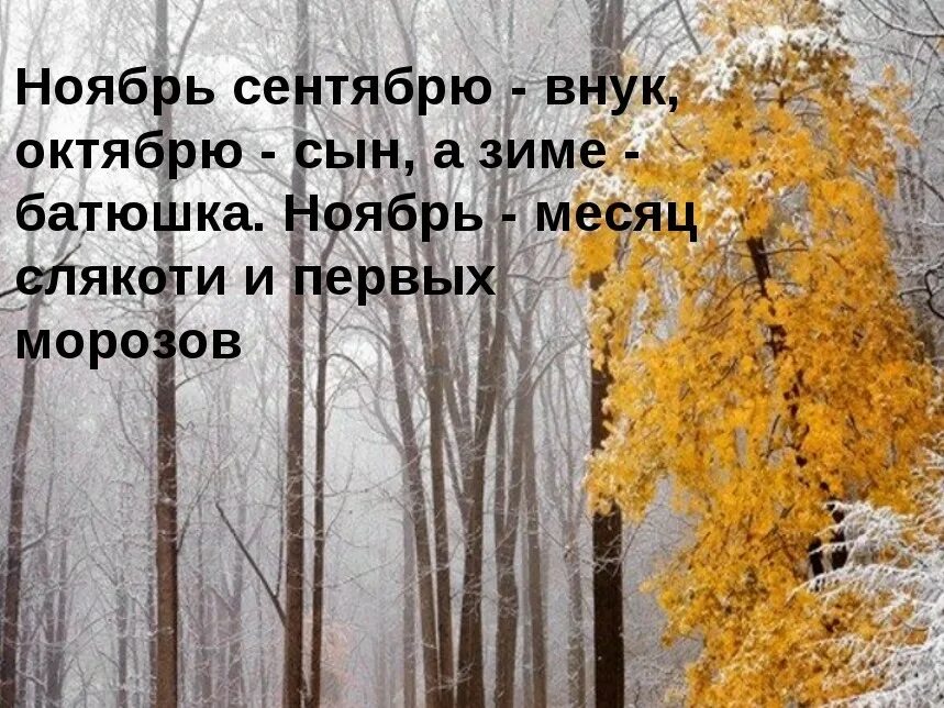 Поздней осени какое число. Цитаты про ноябрь. Афоризмы про ноябрь. Осенние и зимние стихи. Последний месяц осени.