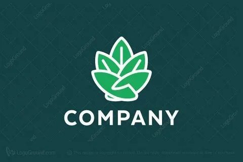 Sales leave
