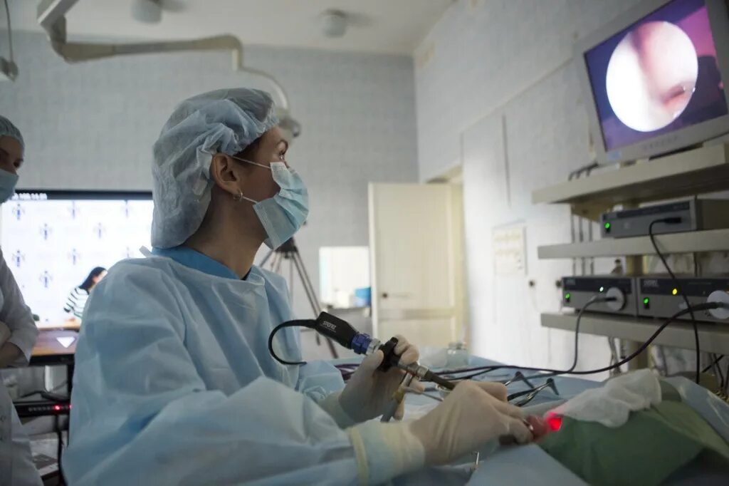 Фото больницы внутри. Новосибирская областная больница. Закрыли областную больницу. Дневной стационар химиотерапии. Закрыли областную больницу.