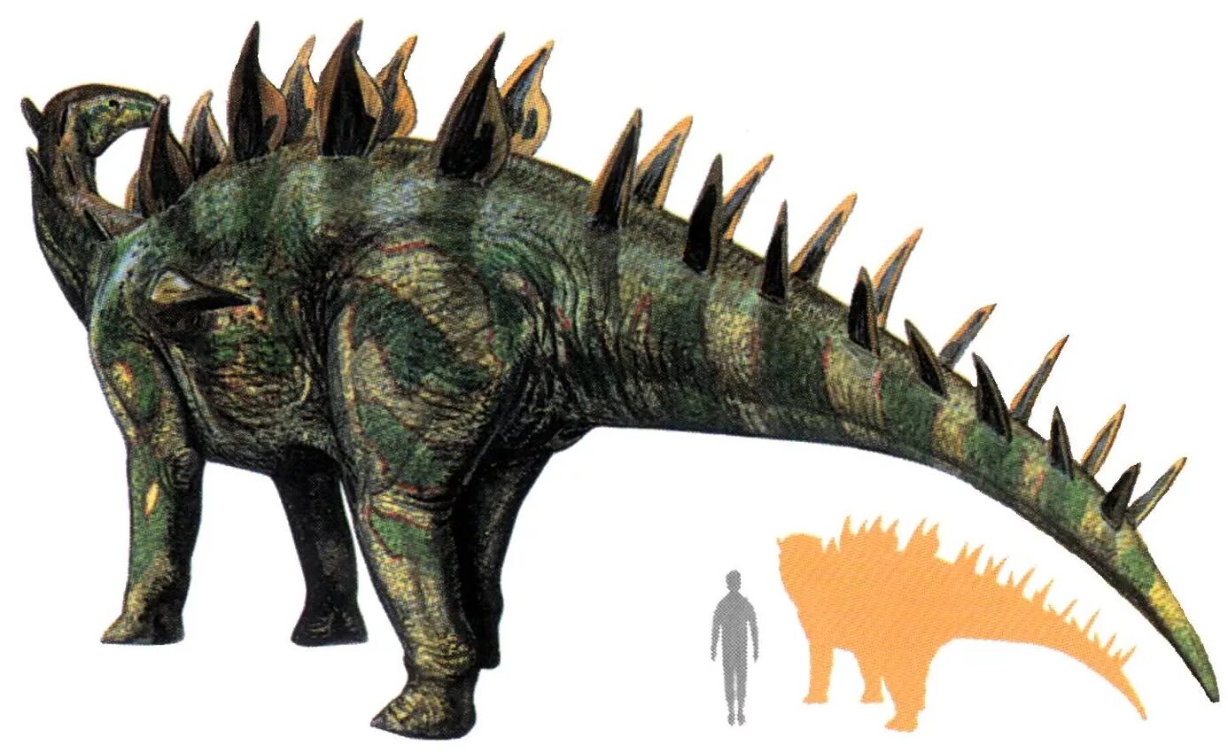 Лексовизавр. Лексовизавр динозавр. Дацентрур динозавр. Динозавр с шипами. Травоядные динозавры с шипами
