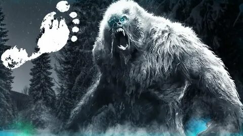 Bigfoot freetp
