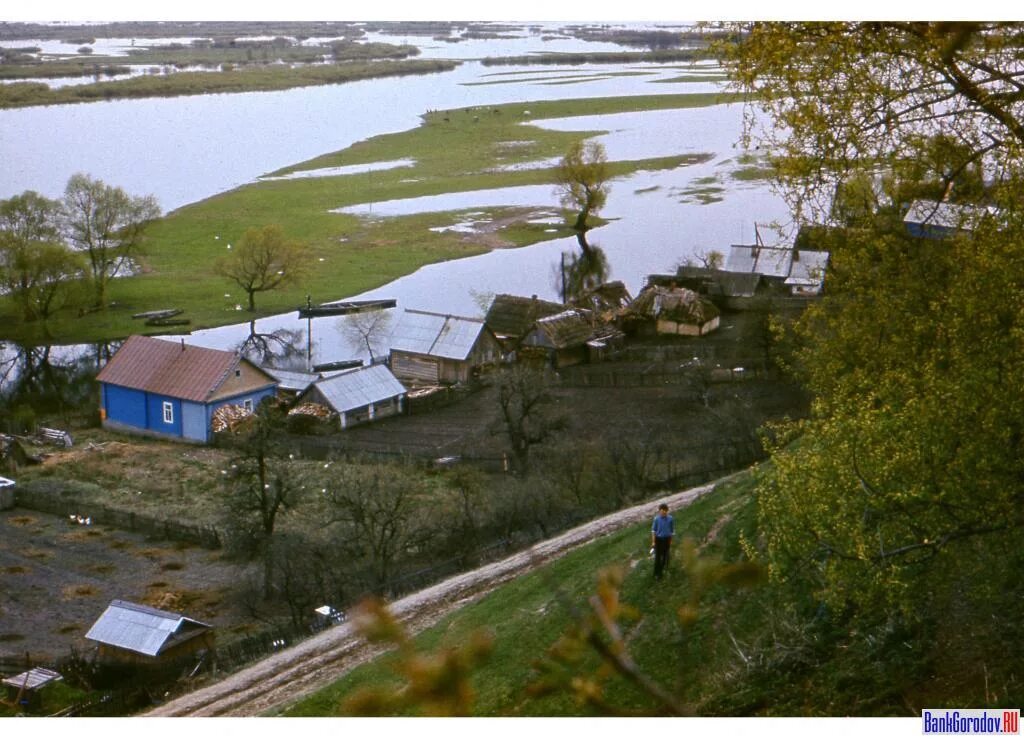 Погода давыдчи брянская область. Д удолье трубчевского района брянской области. деревня удолье трубчевский район. село селец трубчевского района. селец трубчевский район брянская область.