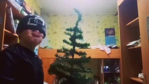 Кража ели