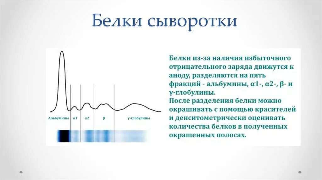 Имеет отрицательную. Имеет отрицательную