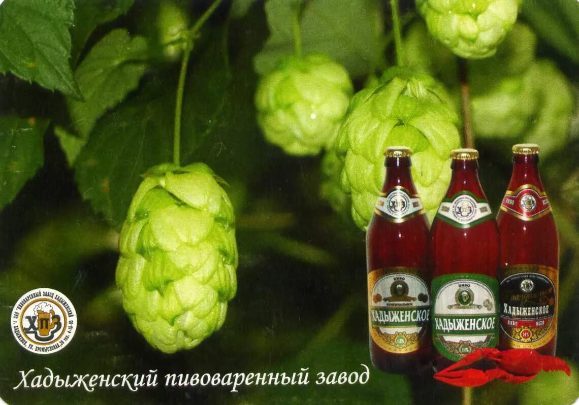 Пивоваренный завод хадыженский сайт. Хадыженский пивоваренный завод. Пивоваренный завод хадыженский сайт. Пивоваренный завод хадыженский сайт. Пивоваренный завод хадыженский сайт.
