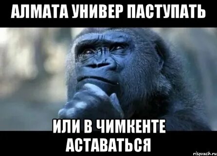 Я его найду