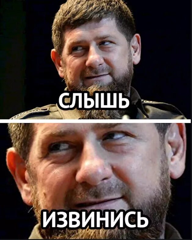 извиняйся рамзан. кадыров прощение. извинения перед кадыровым. кадыров прощение. кадыров прощение.