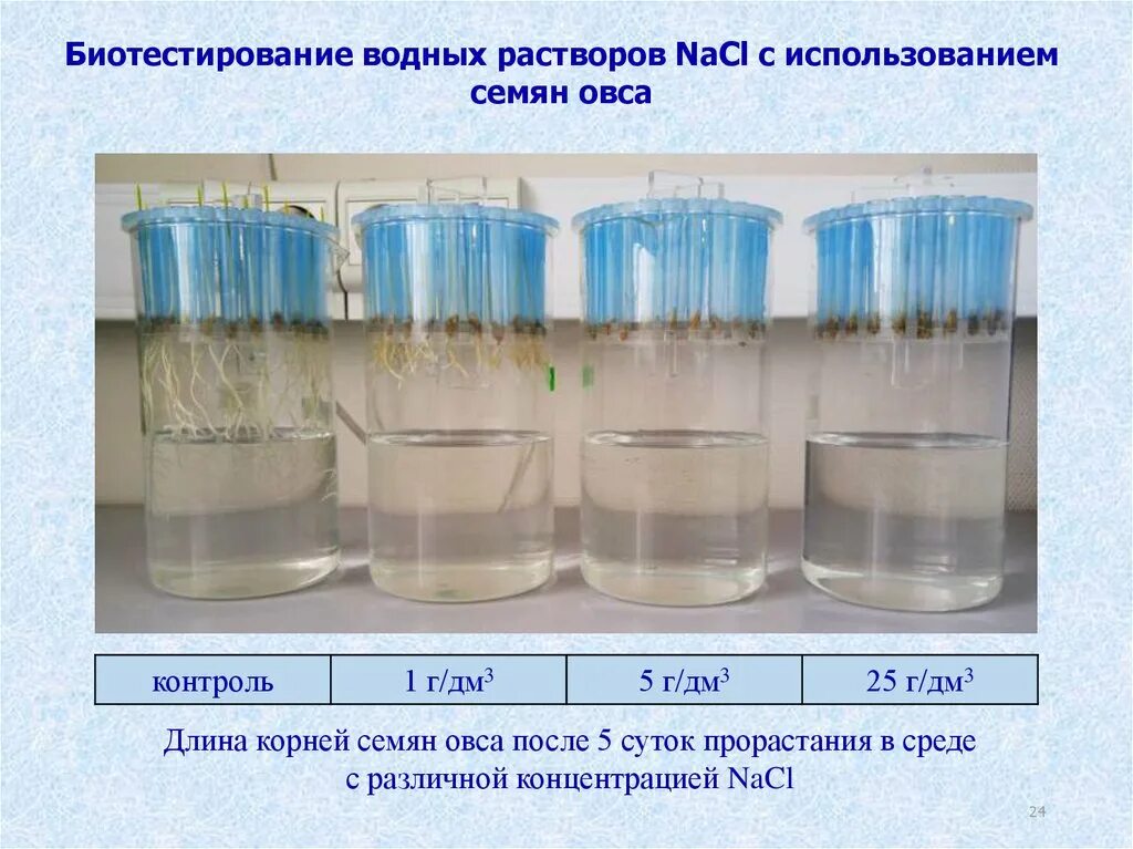 Биотестирование. Биотестирование воды. Биотестирование водных растворов. Методики биотестирования.