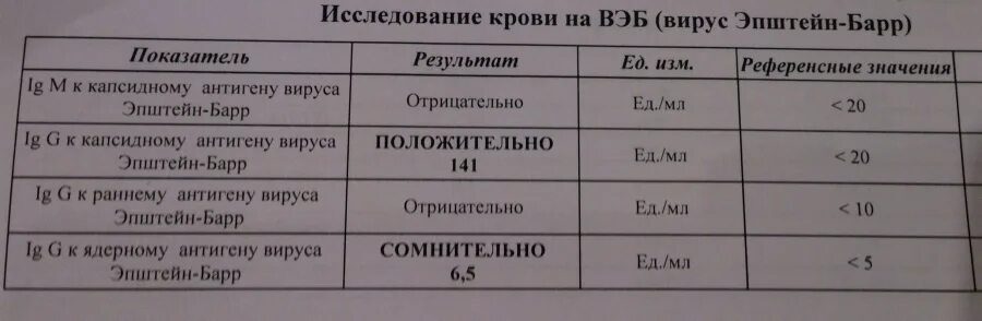 Положительный результат на вирус. Антитела к вирусу Эпштейна Барр. Антитела IGG К Эпштейн Барр. Эпштейн-Барр вирус IGG положительный. Анализ на антитела к вирусу Эпштейна-Барр.