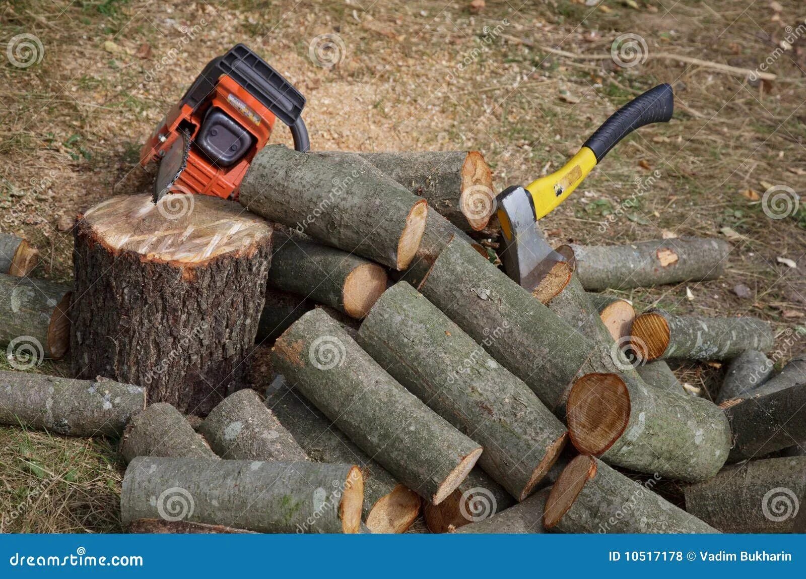 Кол щее оружие пил щий дрова. Заготовка дров. Рубка дров. Заготовка древесины для собственных нужд. Заготовка дров для собственных нужд.
