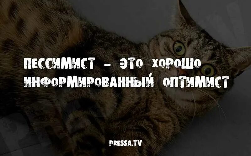 Оптимист это плохо информированный. Пессимист это хорошо информированный. пессимист это хорошо информированный оптимист. пессимист это хорошо осведомленный оптимист. пессимист надпись.