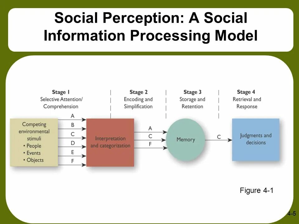 Social information processing. Perception примеры на русском. Social process and the City. Understanding social exclusion.