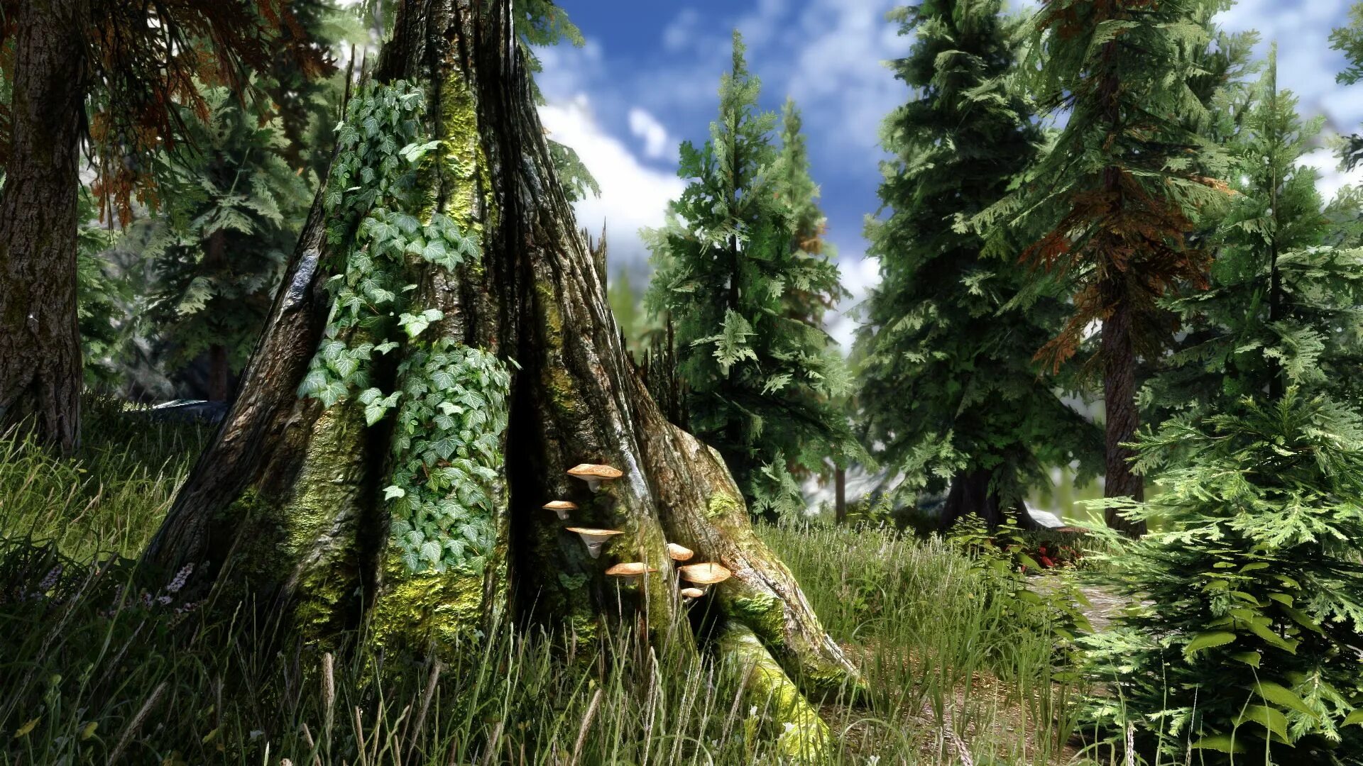 Скайрим rtx. Скайрим пейзажи. Скайрим стена. Скайрим 2. Мод на текстуры в скайриме.