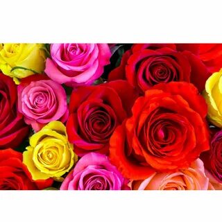 Мария Новикова жалаңаш