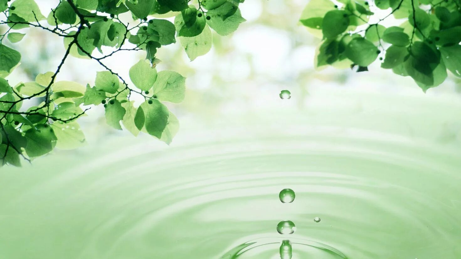 Добрые дела. Высказывания про каплю. Вперед к закрытию сбора. Капля добра. Капелька счастья для тебя.