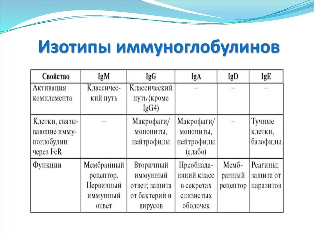 Свойства клинически значимых классов иммуноглобулинов. Иммуноглобулины классы и функции. Основные изотипы иммуноглобулинов. 33. Сравните функции различных классов иммуноглобулинов..