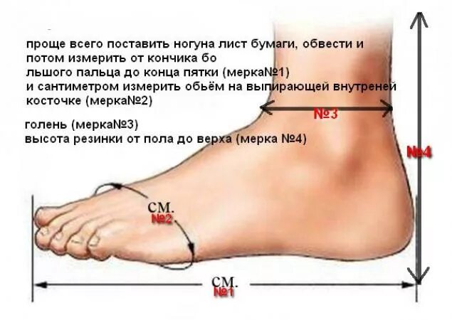 Как измерить лодыжку