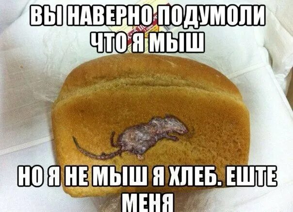 Хотя что там что тут. Мемы про хлеб. Хлеб Мем. Человек Хлебушек. Хлебушек употребляли.