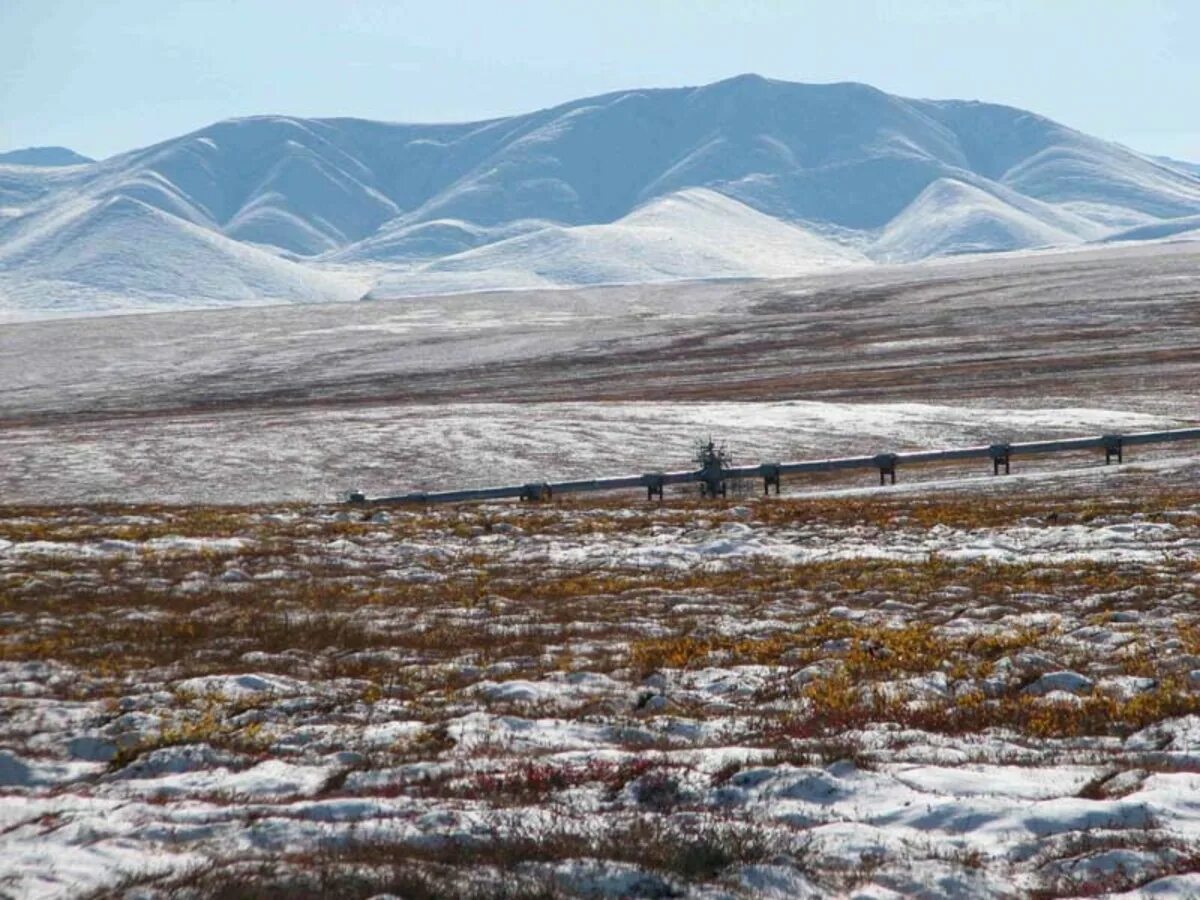 Тундра Тикси. Tundra ecosystem. Кюме тундра гора. Тундра 001 Кызыл. Запах тундры