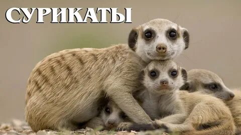 i?id=6d84d354427e606edf1d135749fdfc9716a