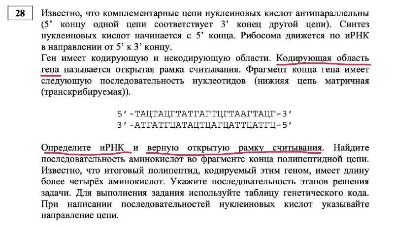 задачи на открытую рамку считывания егэ биология. открытые рамки считывания. открытые рамки считывания. задачи на открытую рамку считывания егэ биология. рамка считывания генов.