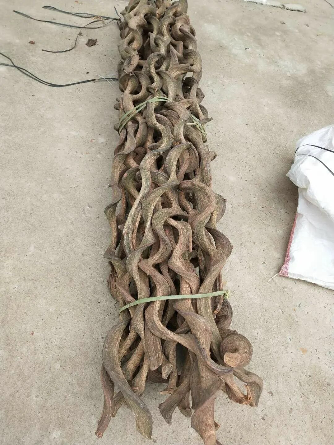 Сухая лоза. Сухая лоза, цвет красный. Сухие ветки. Сухая виноградная лоза. Сухая лоза для флористики.