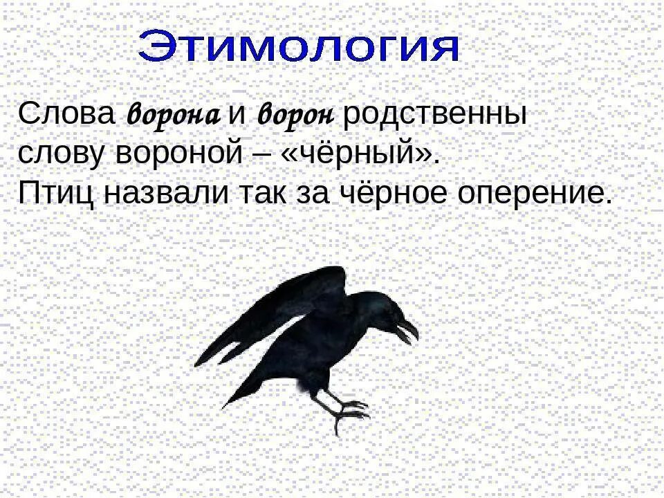 Черным черно текст. Приметы про ворон. Ворон каркает примета. Ворон словарное слово. Предложение про ворону.