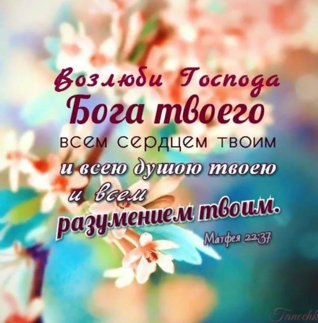 Стих дня из библии. Стихи из библии. христианские высказывания. христианские слова из библии. христианские цитаты.