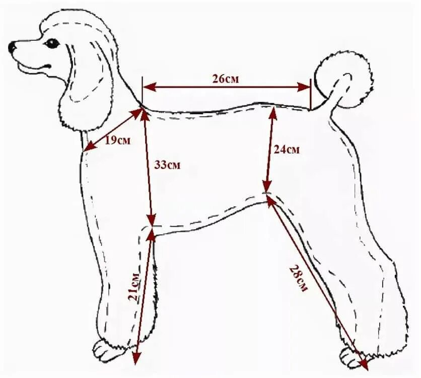 Схема пуделя. Выкройка для комбинезона для собаки кокер спаниель. Выкройка комбинезона для собаки мальчика кокер спаниель. ДРТ Club выкройка комбинезона. Выкройка комбинезона для спаниеля мальчика кокер спаниель.
