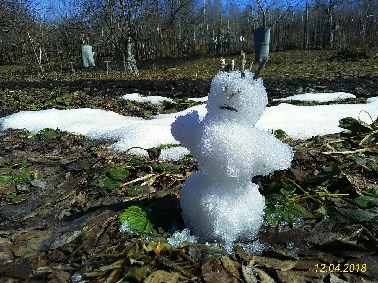 Снеговик маевик. Весенний снеговик с одуванчиками. Майский секговик. Маевик снеговик в мае. Маевик снеговик в мае.