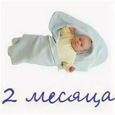 Работа на два месяца