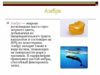 Амбра описание