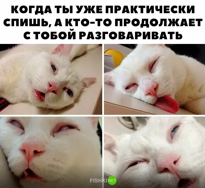 Смешные приколы про сон. Спать наоборот. Приколы про сон. Как не спать всю ночь. Как я сплю ночью.