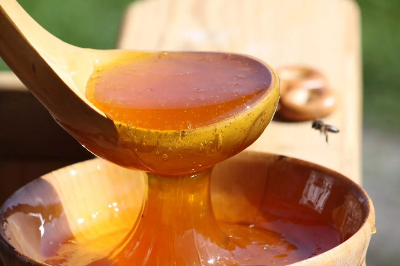 Honey фото. Мёд. Мёд натуральный. Мед картинки. Пчелиный мёд.