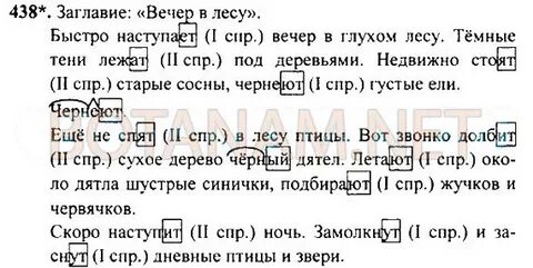 Наступает вечер в глухом лесу