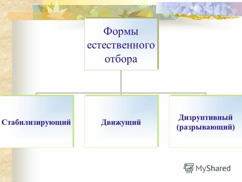 Борьба за существование и естественный отбор. Формы борьбы естественного отбора. ,JHM,F PF ceotcndjdfybt b tcntcndtyysq JN,JH. Формы борьбы за существование и естественный отбор. Борьба за существование естественный и искусственный отбор