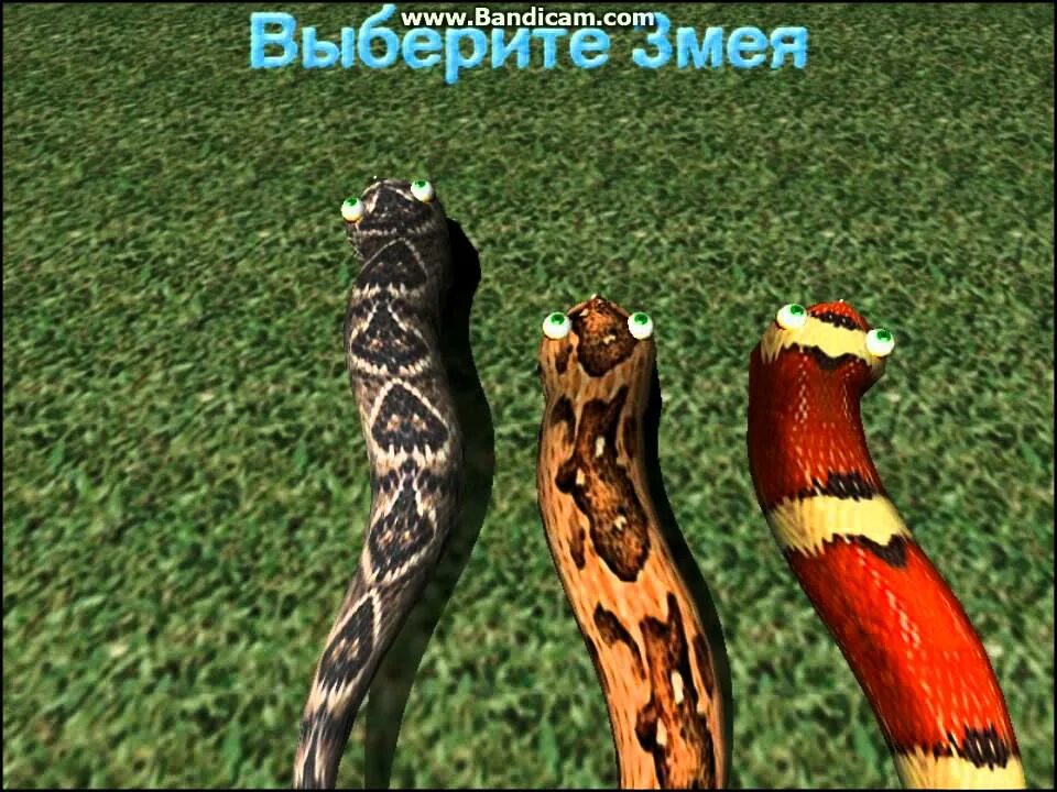 Большие змеи игра. AXYSNAKE большой змей. Большой змей 2001. Большой змей игра алавар. Забавные змейки.