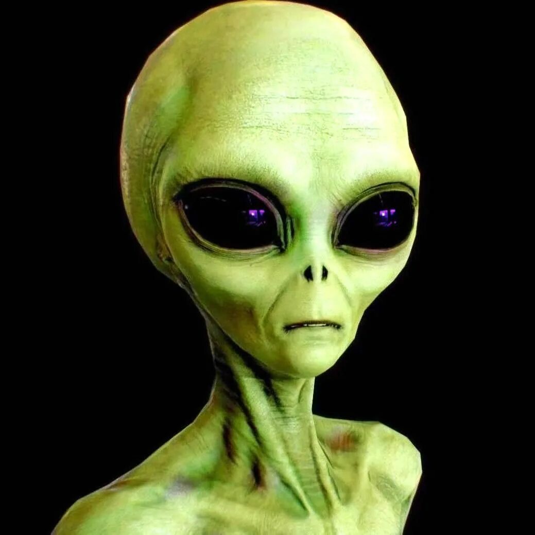 Real life alien. Человекоподобные инопланетяне.