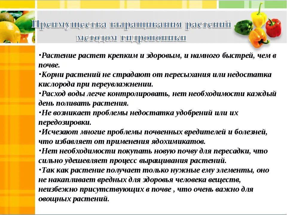 Гидропоника преимущества. Гидропонный способ выращивания растений. Выращивание растений без почвы преимущества. Способ выращивания растений без почвы. Растения выращенные без почвы.