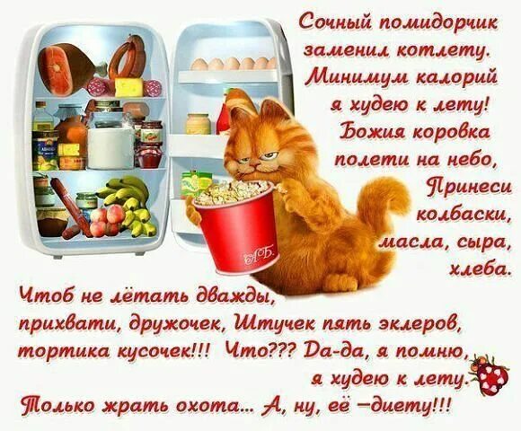 Смешные фразы про похудение. Веселые картинки про похудение. Стихи про похудение. Надо худеть картинки. Стихи про похудение.