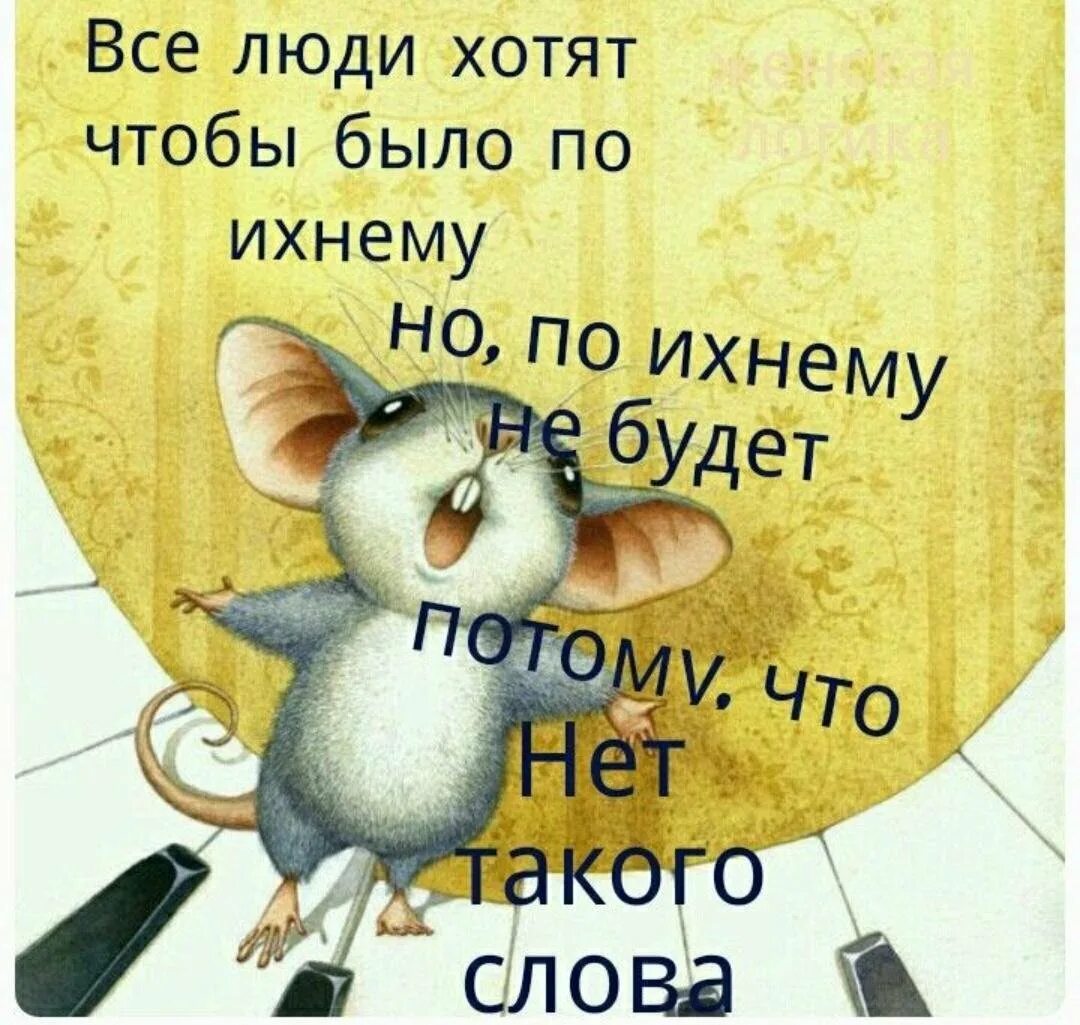 Цитаты дня смешные. Позитивные цитаты. позитивные фразы. смешные афоризмы и высказывания. смешные цитаты.