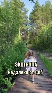 Коккоревский заказник и экотропа