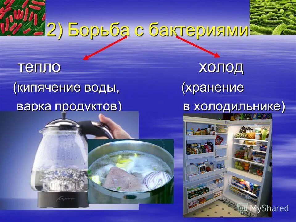 Как можно защитить продукты от бактерий